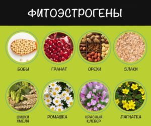 В каких продуктах содержатся женские гормоны