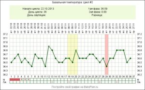 Базальная температура в течение дня