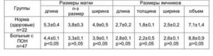 Какие размеры матки и шейки считаются нормой