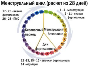 Женский цикл по дням что происходит