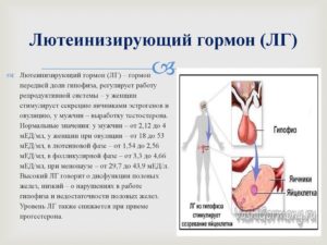 Как понизить лг