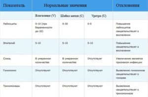 Норма лейкоцитов в цервикальном канале