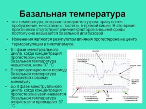 Ректальная температура при овуляции