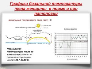 Ректальная температура норма у женщин