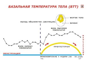 Повышение температуры перед месячными причины