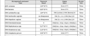 Днк bacteria в мазке что это такое