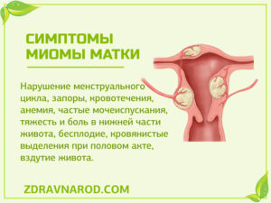 Что называют анемией матки