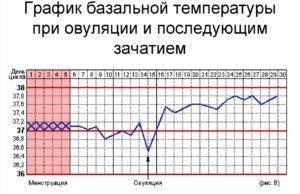 Ректальная температура норма у женщин