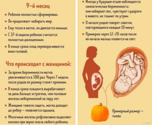 Срок доношенной беременности