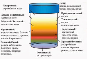 Какого цвета моча при беременности