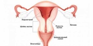 Спазм матки при месячных