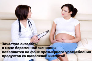Оксалаты в моче при беременности