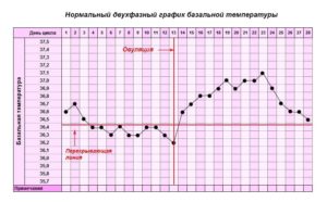 Ректальная температура при овуляции