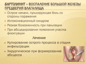 Бартолиновые железы у женщин