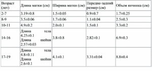 Какие размеры матки и шейки считаются нормой