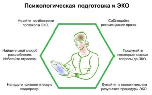 Как правильно подготовиться к ЭКО