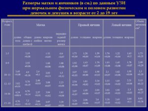 Какие размеры матки и шейки считаются нормой