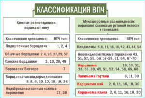 Лечение впч 16 и 18 типов у женщин