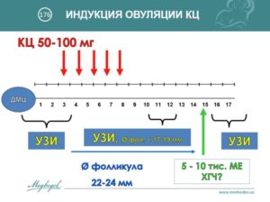 Индукция овуляции что это