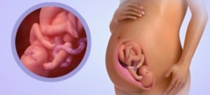 36 неделя беременности: тянет низ живота, особенности шейки матки