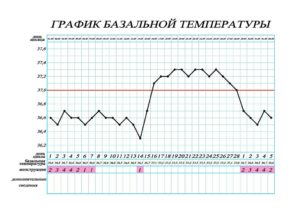 Базальная температура в течение дня