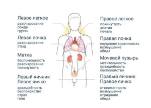 Яичники и психосоматика: особенности лечения