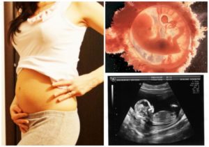14 неделя беременности: развитие плода, ощущения в животе