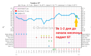 Какая температура тела должна быть перед месячными