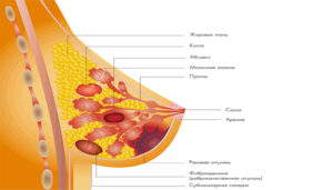 Жировик в грудной железе у женщин