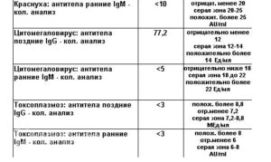 Краснуха igg положительный при беременности