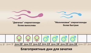 Какая поза лучше для зачатия