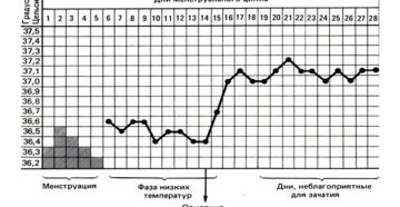 Температура перед месячными