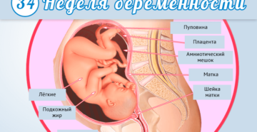 34 неделя беременности: развитие плода, тянет низ живота