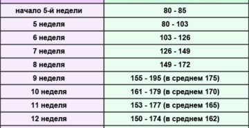 Сердцебиение плода при беременности: частота, когда можно услышать