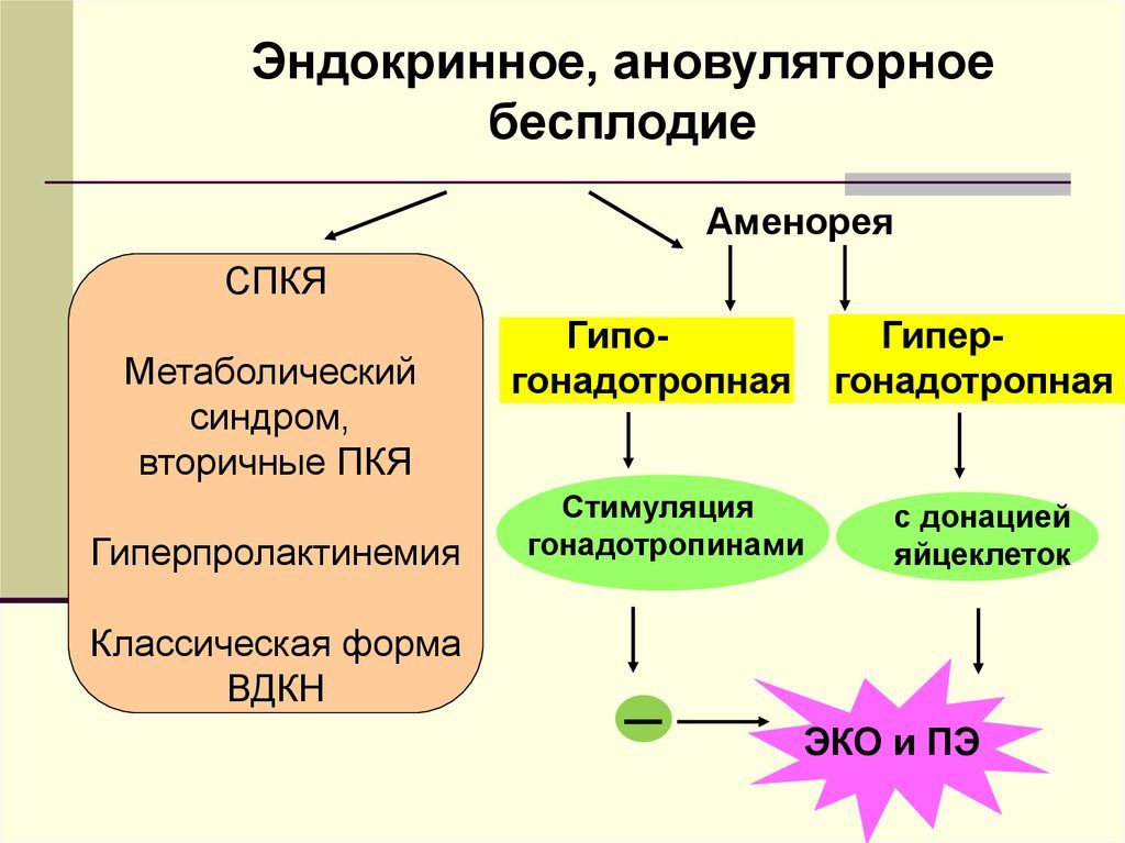 Эндокринный фактор бесплодия