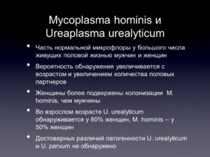 Mycoplasma hominis что это у мужчин