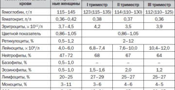 Причины повышения лейкоцитов при беременности