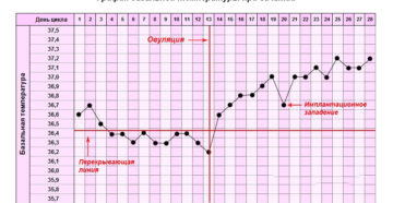 Базальная температура в течение дня