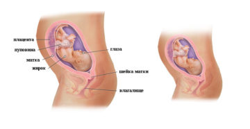 27 неделя беременности