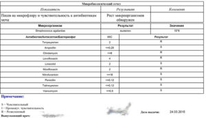 Стрептококк агалактия при беременности