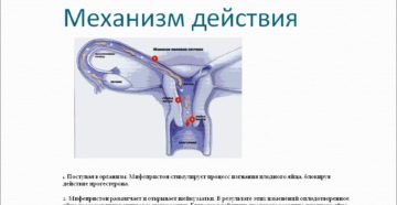 Мифепристон как действует при прерывании беременности