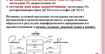 Как понизить андрогены у женщин