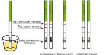 Как правильно делать тест на беременность