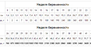 Вес плода в 20 недель беременности норма