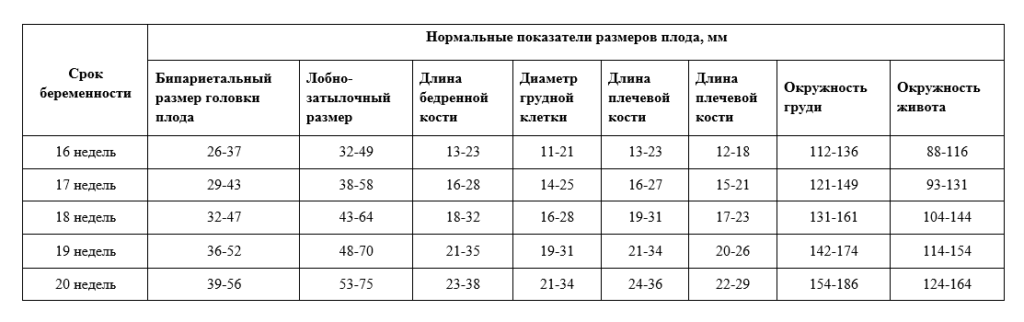 Размер эмбриона по неделям таблица фото узи: узи плода на 30 неделе - Living Tra