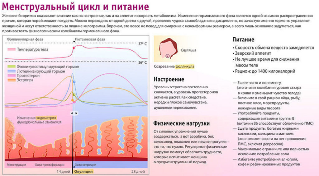 Можно ли восстановить цикл при раннем климаксе