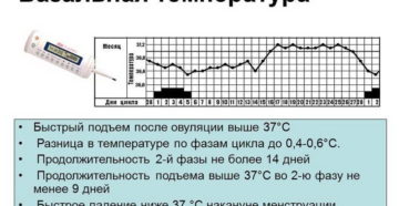 Температура 37 при месячных