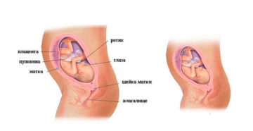26 неделя беременности