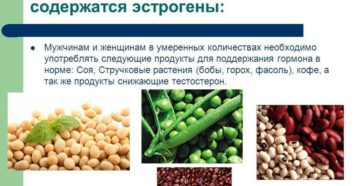 В каких продуктах содержатся женские гормоны