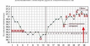 Базальная температура при беременности на ранних сроках